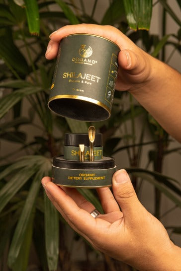 Organic Shilajeet – Nature’s Pure Energy Source