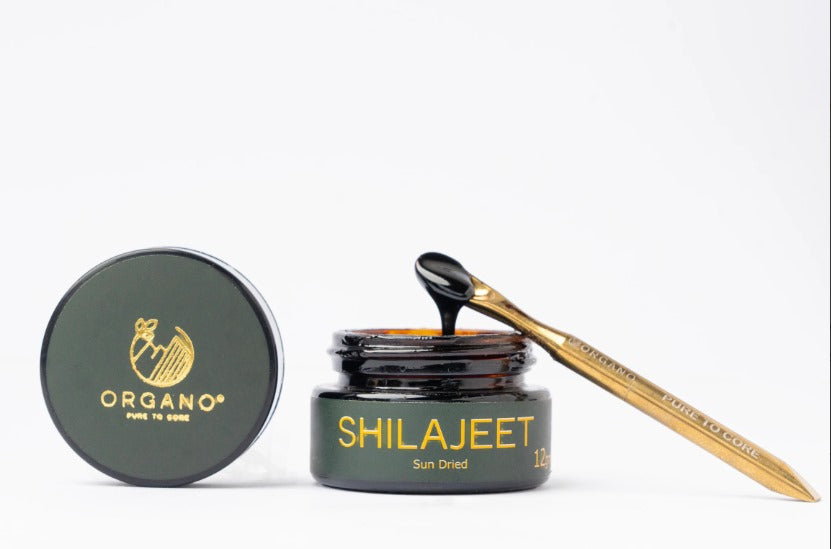 Organic Shilajeet – Nature’s Pure Energy Source